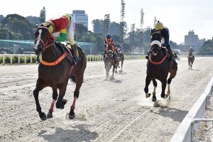 Surprising 08.05 Cl Imprensa