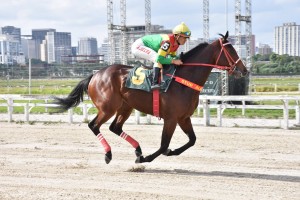 Surprising 08.05 canter