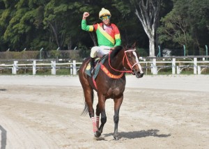 Surprising 08.05 retorno paddock