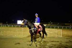 TARSILIO 28.05 PADDOCK