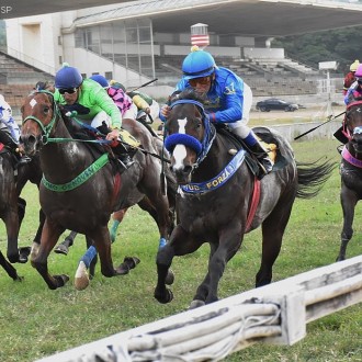 Takashi vence agora na grama sua 14ª vitória