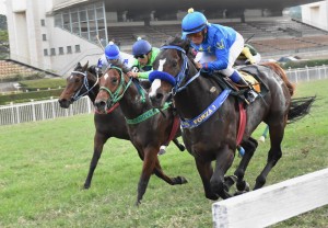 Takashi 15.05 chegada