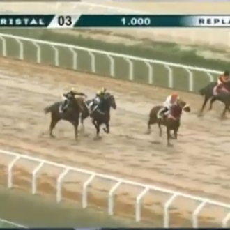 Tiger of Joy vence Clássico no Cristal