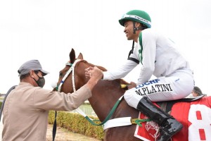 Venatrix 14.05 cavalariço