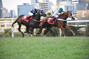 Venatrix 14.05 chegada