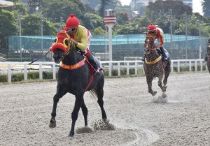 Venetian Pearl 14.05