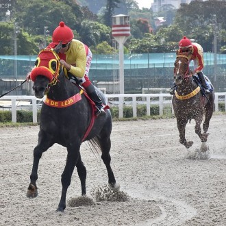 Ventetian Pearl (Tiger Heart) permanece invicta e vence espetacularmente em Cidade Jardim