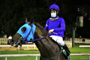 Zubin Mehta 03.05 paddock