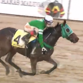 My Endless Love (Tiger Heart) vence no Cristal