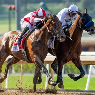 Quase deu, Royal Ship fez 2º na Hollywood Gold Cup (G1) à meia cabeça