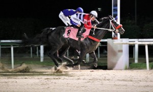 Albioni 13.07