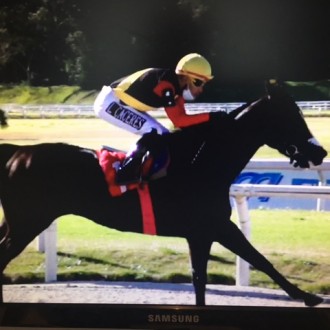 Rainha Pioneira vence sua 18ª carreira no Uruguai