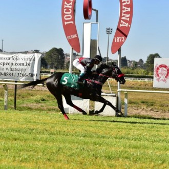 Voron (Tiger Heart) vence em boa lei no Tarumã