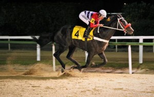 Albioni 10.08