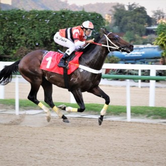 Nergy of Tiger (Tiger Heart) vence a 6ª carreira