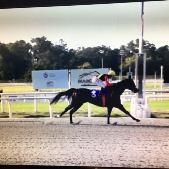 Rainha Pioneira vence a 19ª carreira no Uruguai