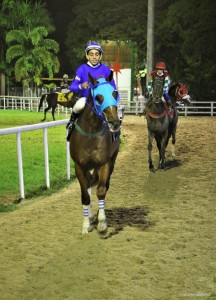 Zubin Mehta 16.08 paddock