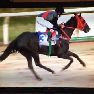 Unspoken Beauty vence no Cristal