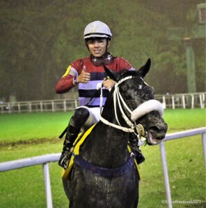 Albioni 01.11 paddock