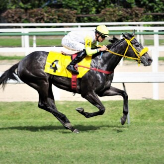 Clássica DEUSA vence a 2ª carreira na Gávea