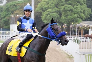 Vibranium 09.11 paddock