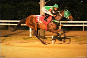 TActical Speed 28.12 chegada