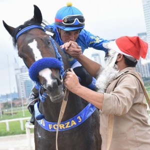 Takashi 18.12 cavalariço