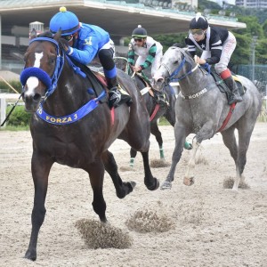 Takashi 18.12 chegada