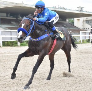 Takashi 18.12 chegada sózinho