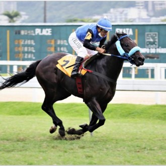 Vibranium repete na Gávea