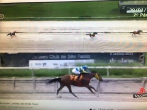 Golden Nugget 29.01
