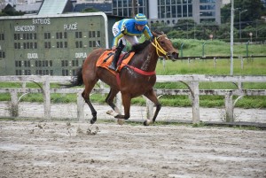 Golden Nugget 29.01 chegada