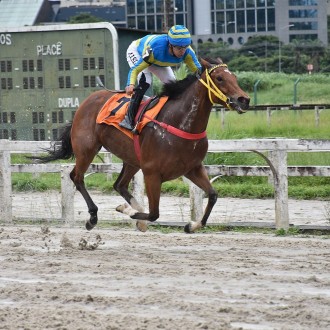 Golden Nugget vence em boa lei em Cidade Jardim