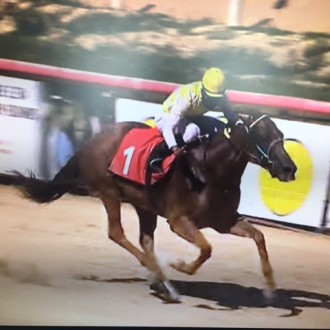Tamar (Tiger Heart) vence Clássico no Cristal e emplaca 3 vitórias à fio