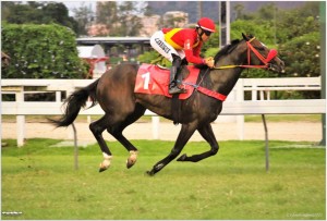 TArsílio 20.02 de lado