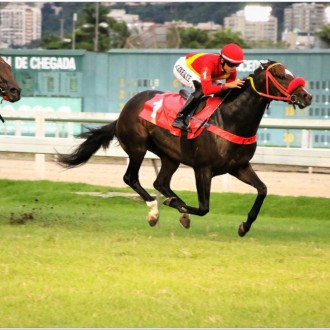 Tarsílio vence na Gávea