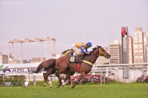 Zurick Vom Ring 19.02