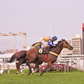 Zuruck Vom Ring vence a 2ª em Cidade Jardim