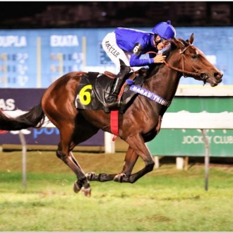 Bidu Sayão (Couriter) volta a vencer na Gávea