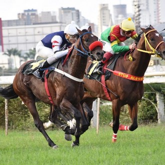 Atomic Heights e First Lady recriados no Santarém para Ricardo Colombo vencem suas provas
