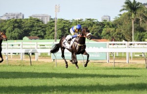 Jet Class 10.04 no ar