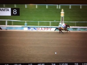 Royal Ship 10.04