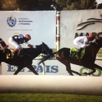 Gala Dinner vence Handicap Especial em Maroñas