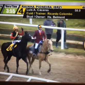 Rainha Pioneira vence a 23ª carreira no Uruguai