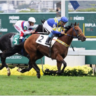 Bob Will vence na Gávea aos 2 anos