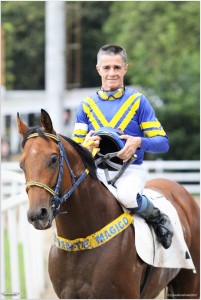 Bob Will 26.06 J Ricardo paddock