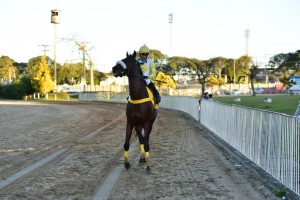 Caled paddock 12.06