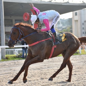 Vijay vence fácil a Prova Especial Hugo Sergio Nieri