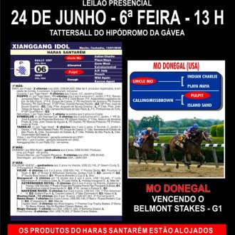 Potro ganhador do Belmont Stakes com US$ 1,5 milhão em prêmios tem pedigree similar a produto a ser ofertado no Lilão Classic