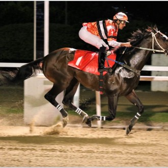 Nergy Of Tiger vence 7ª carreira na Gávea